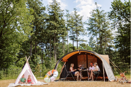 Manege bij Camping Samoza in het bos op de Veluwe VMP090